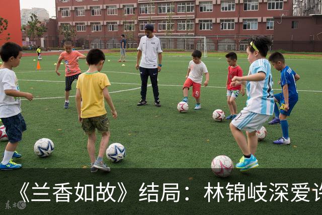 《兰香如故》结局：林锦岐深爱许兰香，可兰香从未真正爱过他