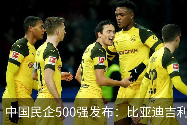 中国民企500强发布：比亚迪吉利前十，零跑小鹏排名飙升