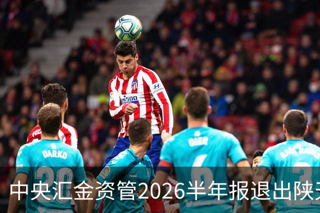 中央汇金资管2026半年报退出陕天然气与深圳燃气前十大股东名单！