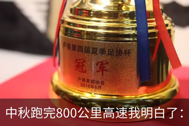 中秋跑完800公里高速我明白了：电车省的是钱，油车省的是命！