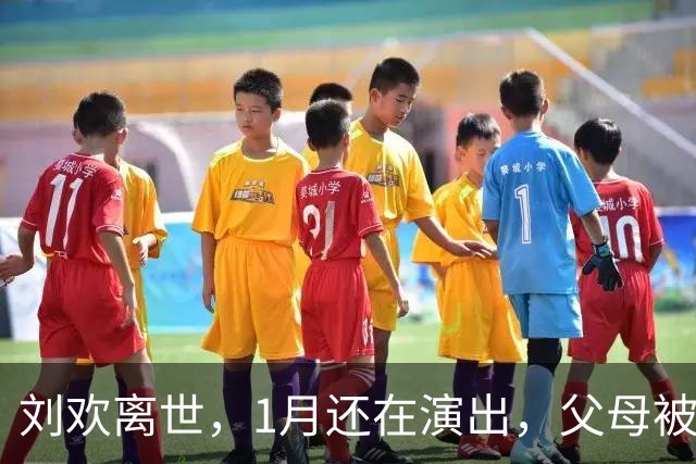 刘欢离世，1月还在演出，父母被曝不是高寿之人，一年内痛失2至亲