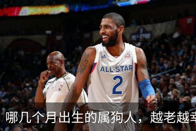 哪几个月出生的属狗人，越老越幸福，越老越有钱？