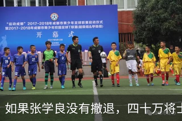 如果张学良没有撤退，四十万将士能抵挡多久？专家：日军攻不进来