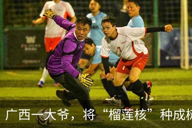 广西一大爷，将“榴莲核”种成树，结出果子“20斤”，太牛！
