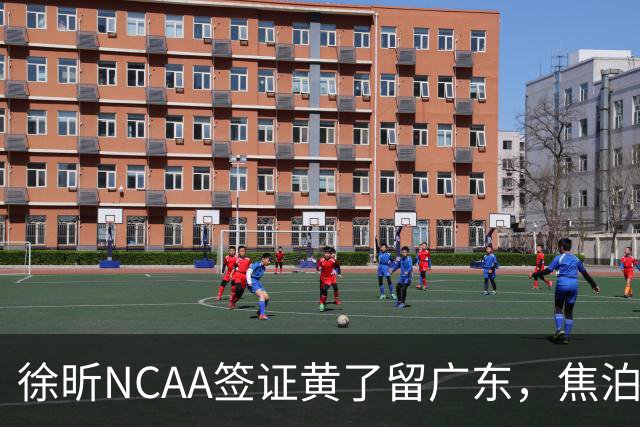 徐昕NCAA签证黄了留广东，焦泊乔场均5分却国家队砍12+8