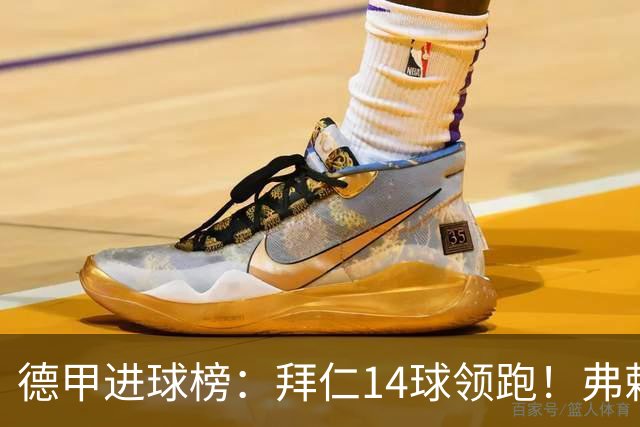 德甲进球榜：拜仁14球领跑！弗赖堡12球第2！汉堡2球垫底！