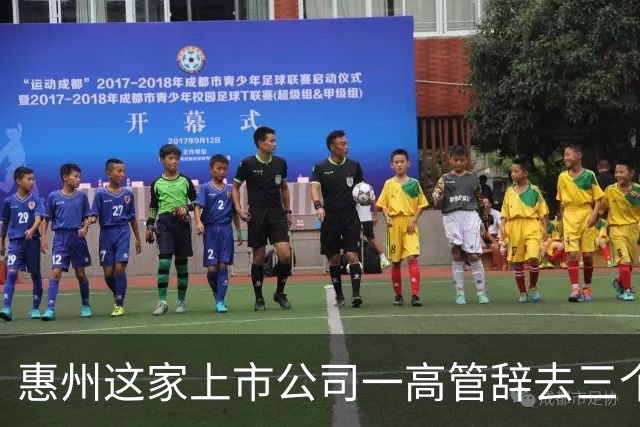 惠州这家上市公司一高管辞去三个职务
