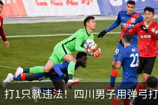 打1只就违法！四川男子用弹弓打了55只，不光被刑拘还得赔18600元