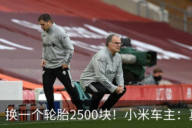 换一个轮胎2500块！小米车主：真心碎了，当时干啥要买20寸的呀，也不知道换一下这么贵啊！网友：电车省油不省钱啊