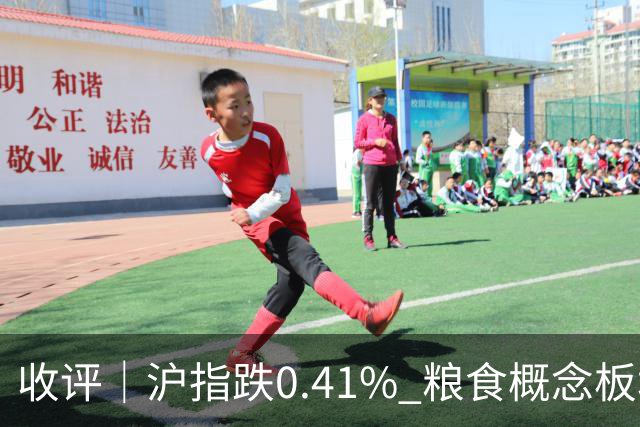 收评｜沪指跌0.41% 粮食概念板块走高