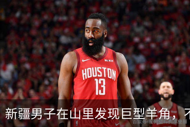 新疆男子在山里发现巨型羊角，不敢带回去怕犯法！网友：捡来的为啥也违法？