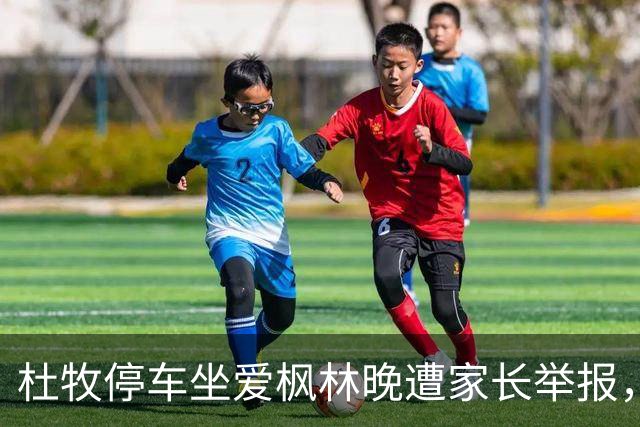 杜牧停车坐爱枫林晚遭家长举报，建议从教科书删除，理由太荒诞了