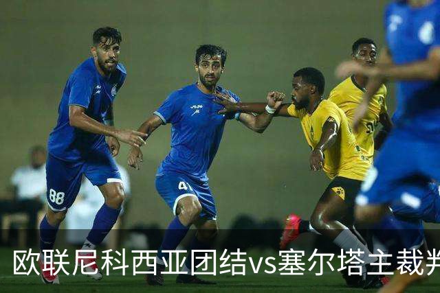 欧联尼科西亚团结vs塞尔塔主裁判数据：近20场执法77黄1红9点