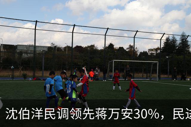 沈伯洋民调领先蒋万安30%，民进党要停办双城论坛？陆委会表态了