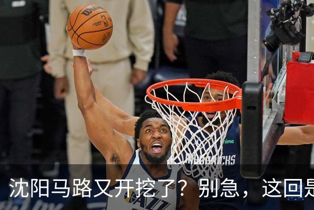 沈阳马路又开挖了？别急，这回是个大工程！