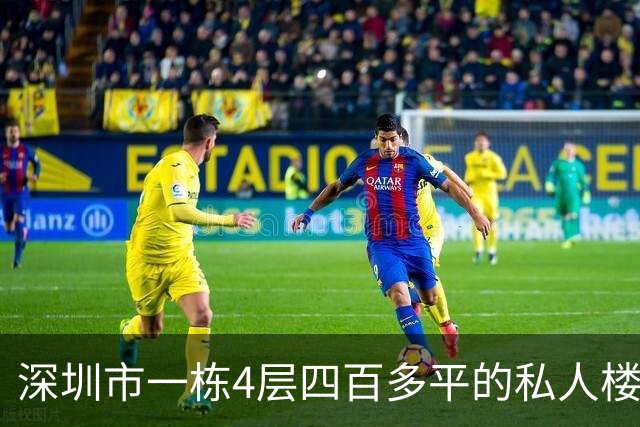 深圳市一栋4层四百多平的私人楼拍卖，被人312万元就拿下