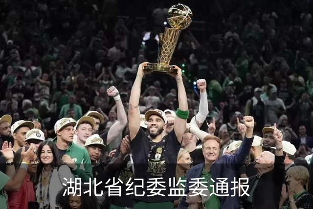 湖北省纪委监委通报