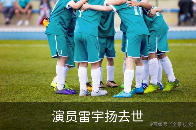 演员雷宇扬去世