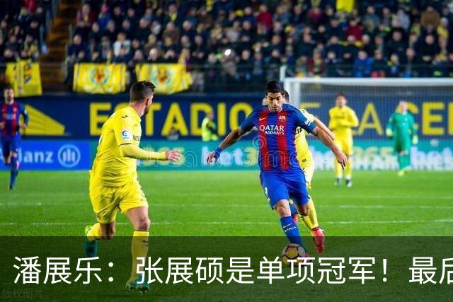 潘展乐：张展硕是单项冠军！最后一棒总有奇迹 我最菜就放第三棒