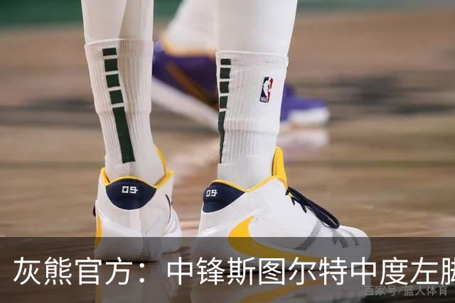 灰熊官方：中锋斯图尔特中度左脚踝扭伤 两周后接受复查