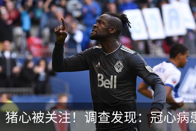 猪心被关注！调查发现：冠心病患者吃猪心，或有这5大影响