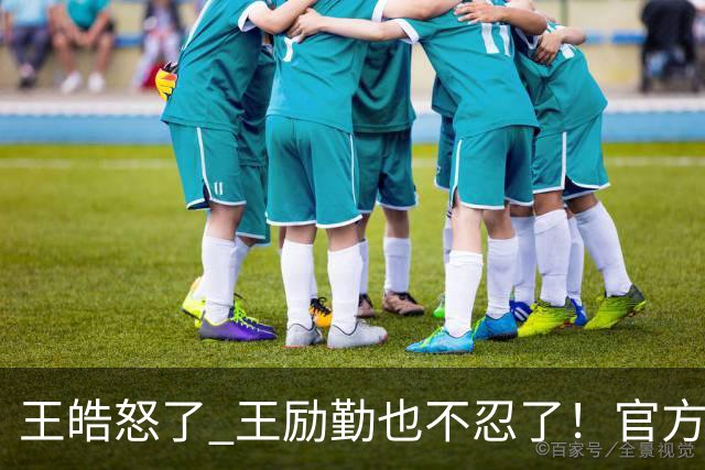 王皓怒了 王励勤也不忍了！官方出手下新制度，终于懂樊振东的处