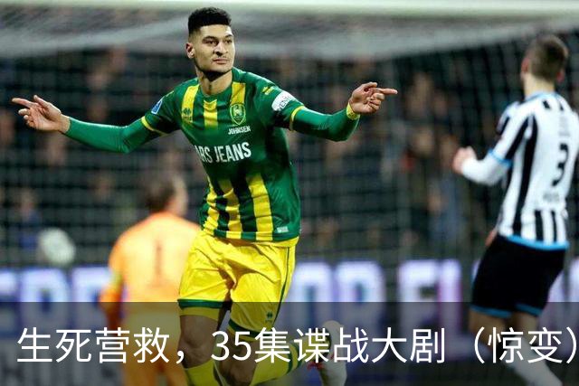 生死营救，35集谍战大剧（惊变）