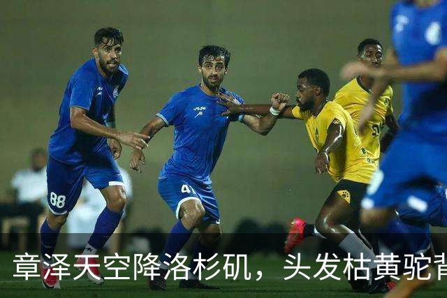 章泽天空降洛杉矶，头发枯黄驼背身材六四分，网友：毫无气质好土