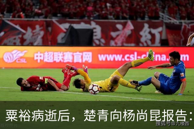 粟裕病逝后，楚青向杨尚昆报告：他有一个遗愿，请中央批准我替他完成