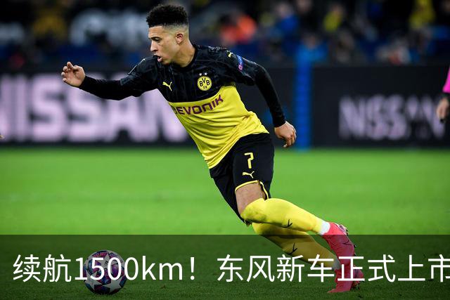 续航1500km！东风新车正式上市！