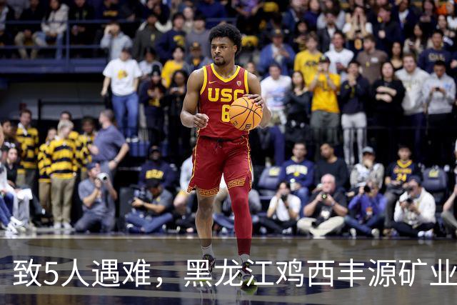 致5人遇难，黑龙江鸡西丰源矿业水害事故调查报告公布，30人被追责