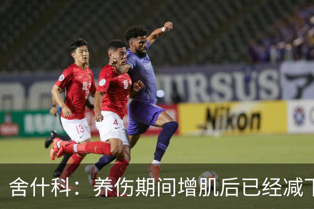 舍什科：养伤期间增肌后已经减下去了，肌肉太多跑动会失去灵性