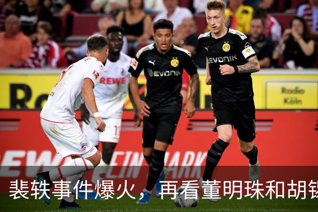 裴轶事件爆火，再看董明珠和胡锡进截然不同的看法，你站哪边？