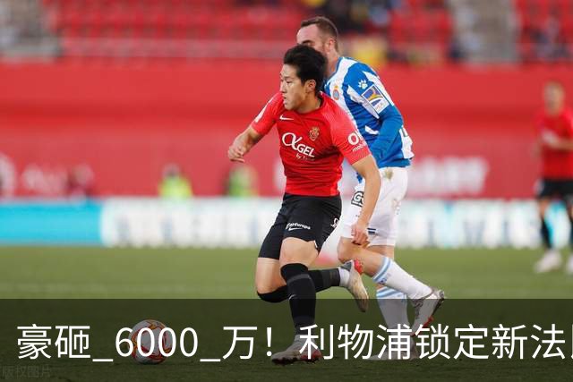 豪砸 6000 万！利物浦锁定新法比尼奥！实力碾压全队中场