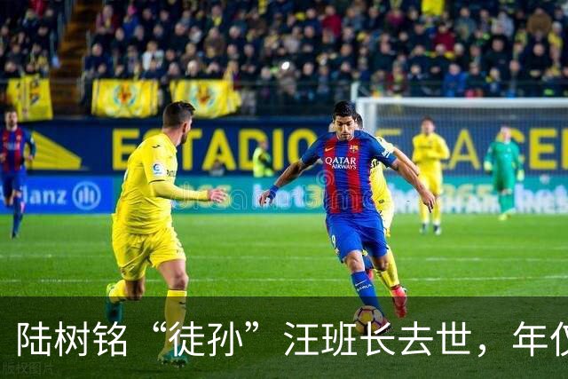 陆树铭“徒孙”汪班长去世，年仅38岁！曾与贺娇龙拍摄日常，扎根军营16载，4次获三等功