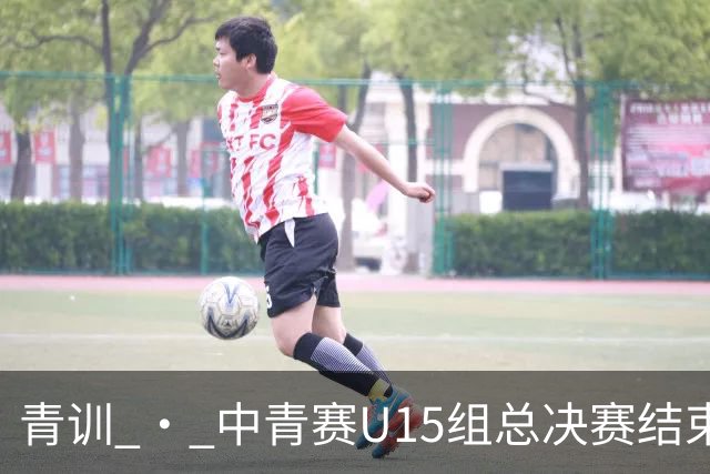 青训 • 中青赛U15组总决赛结束，上海海港U15队获全国第七名