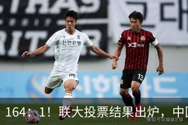 164：1！联大投票结果出炉，中国面积“缩水”？美国投下反对票