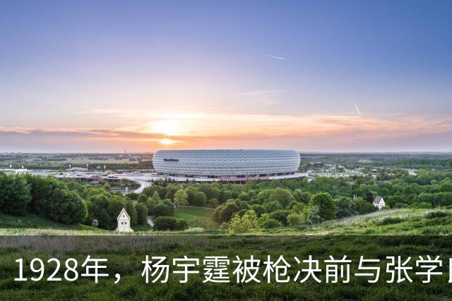 1928年，杨宇霆被枪决前与张学良合影，注意看站姿，二人早已貌合神离