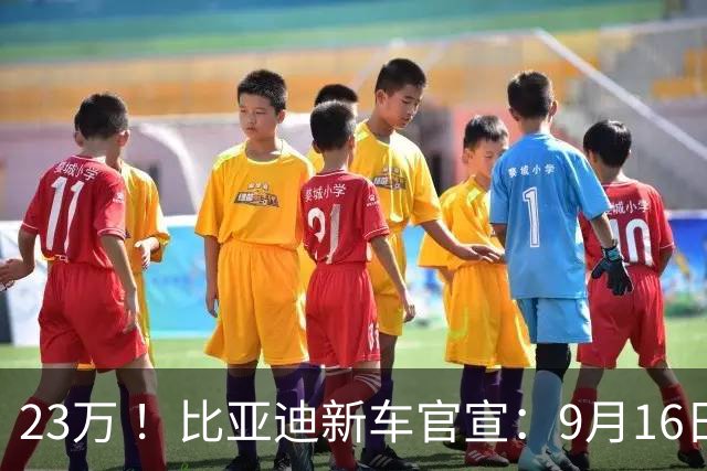 23万 ！比亚迪新车官宣：9月16日，正式上市