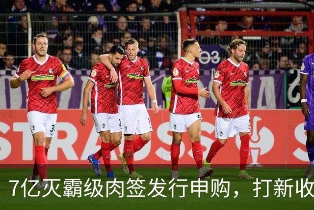 7亿灭霸级肉签发行申购，打新收益高，股民非常想要中签！